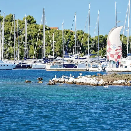 In With Sauna * 罗戈兹尼察